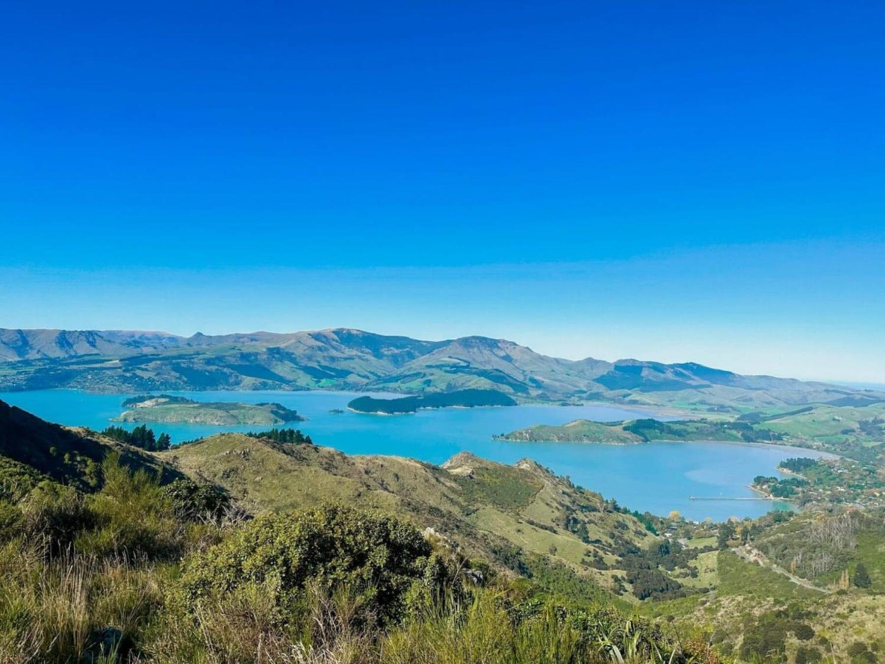 The Outlook By Tiny Away Villa Diamond Harbour Eksteriør billede